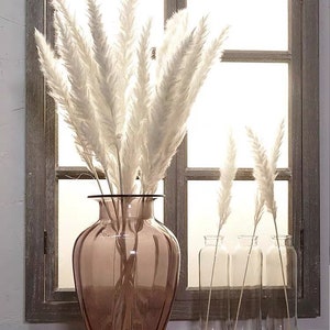 15 Stems-Pampas Grass 24 inches/Dried Flowers for Interior Decor/ Wedding Florals Decor/ Boho Home Decor Flowers