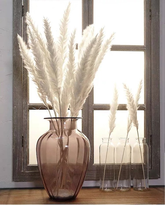 15 Stems-Pampas Grass 20 inches/Dried Flowers for Interior Decor/ Wedding Florals Decor/ Boho Home Decor Flowers