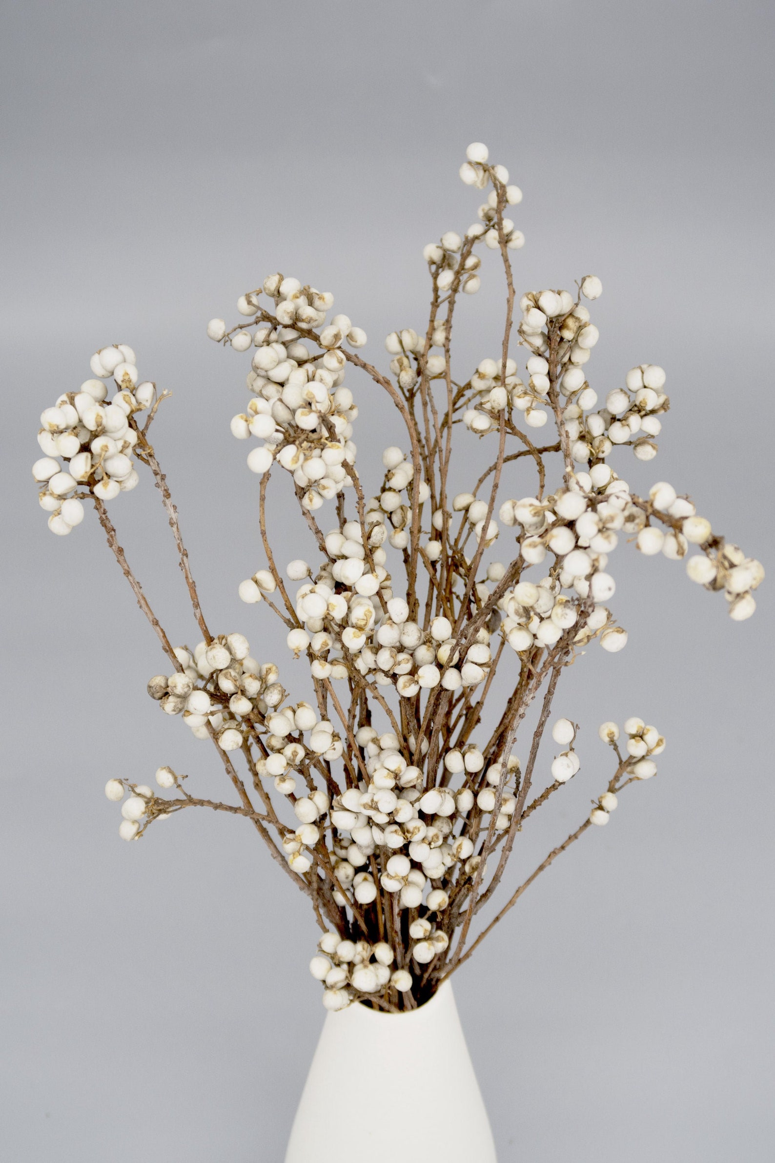 Natural Dried Tallow Berries Winter Berries Ivory Berries Etsy