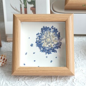 May include: A small wooden frame with a white background and a pressed blue flower with white petals in the center. The flower is surrounded by smaller blue petals scattered around it.