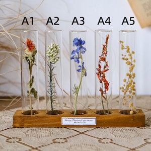 Glass Dome Dried Flowers, Glass Dome Preserved Flowers, Dried Flowers in Glass Bottle, Wedding Favors, Table Decor, Aniversay Gift