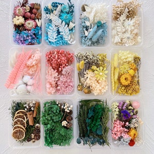Dried Flowers/ Preserved Flowers for Crafts/ Candle / Soap/ Resin Filling/ Wedding Decoration/ Flower Arrangement