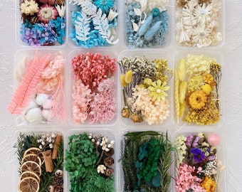 Dried Flowers/ Preserved Flowers for Crafts/ Candle / Soap/ Resin Filling/ Wedding Decoration/ Flower Arrangement