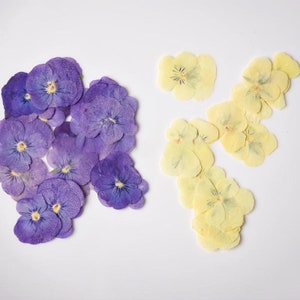 Edible Flowers Collection 3