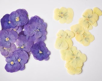 Edible Flowers Collection 3