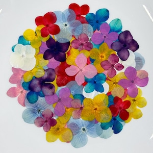 May include: Assortment of pressed flowers in various colors, including blue, purple, pink, yellow, red, and white. The flowers are arranged in a circle on a white background.