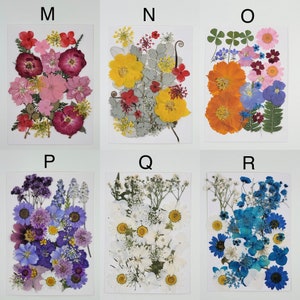 109 Pieces Real Dried Press Flowers Set, Natural Pressed Dry Flowers Leaves  Mixe