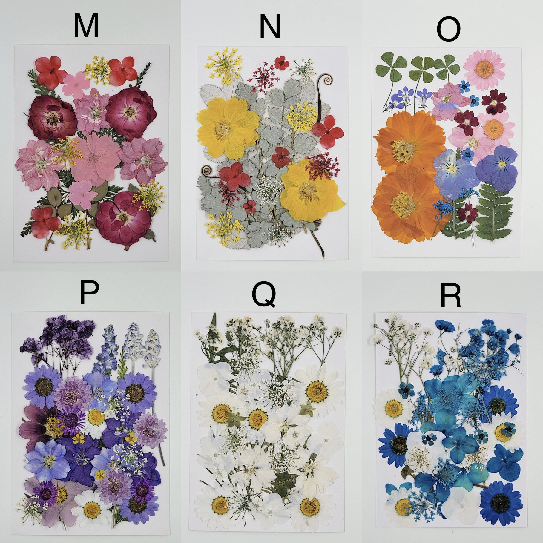 Dried Pressed Flowers For Crafts - Pressed Flowers Mix Pack - Dry