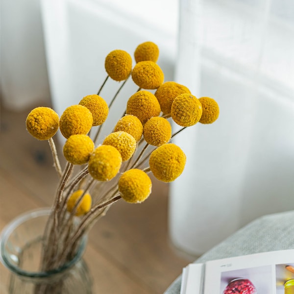 Dried Yellow Flowers Balls Etsy
