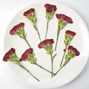 May include: A white plate displays nine burgundy carnation flowers. The flowers have green stems and green bases. The petals are a deep burgundy color. The plate is white and round, with a smooth surface. The flowers are arranged in a radial pattern.