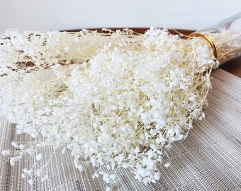 White Preserved Broom Bloom,Dried Florals Bouquet,Boho Wedding Rustic Home Decor,Dried flower-Pluple,Blue,Pink