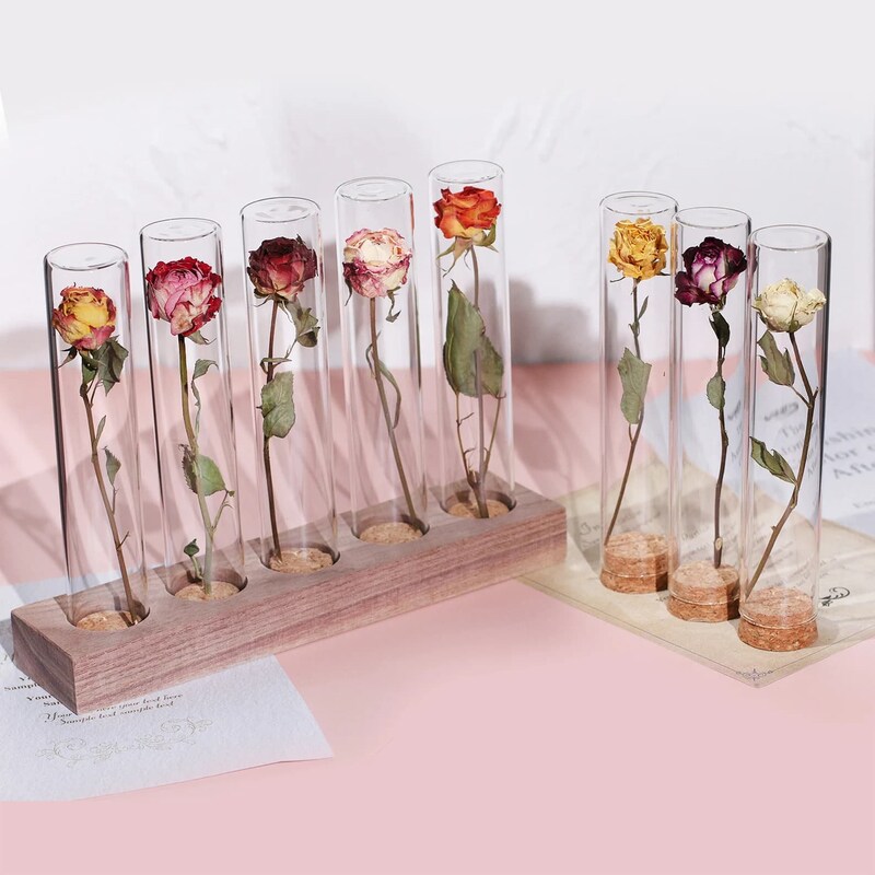 Rose In Glass Rose in Glass Dome - Etsy