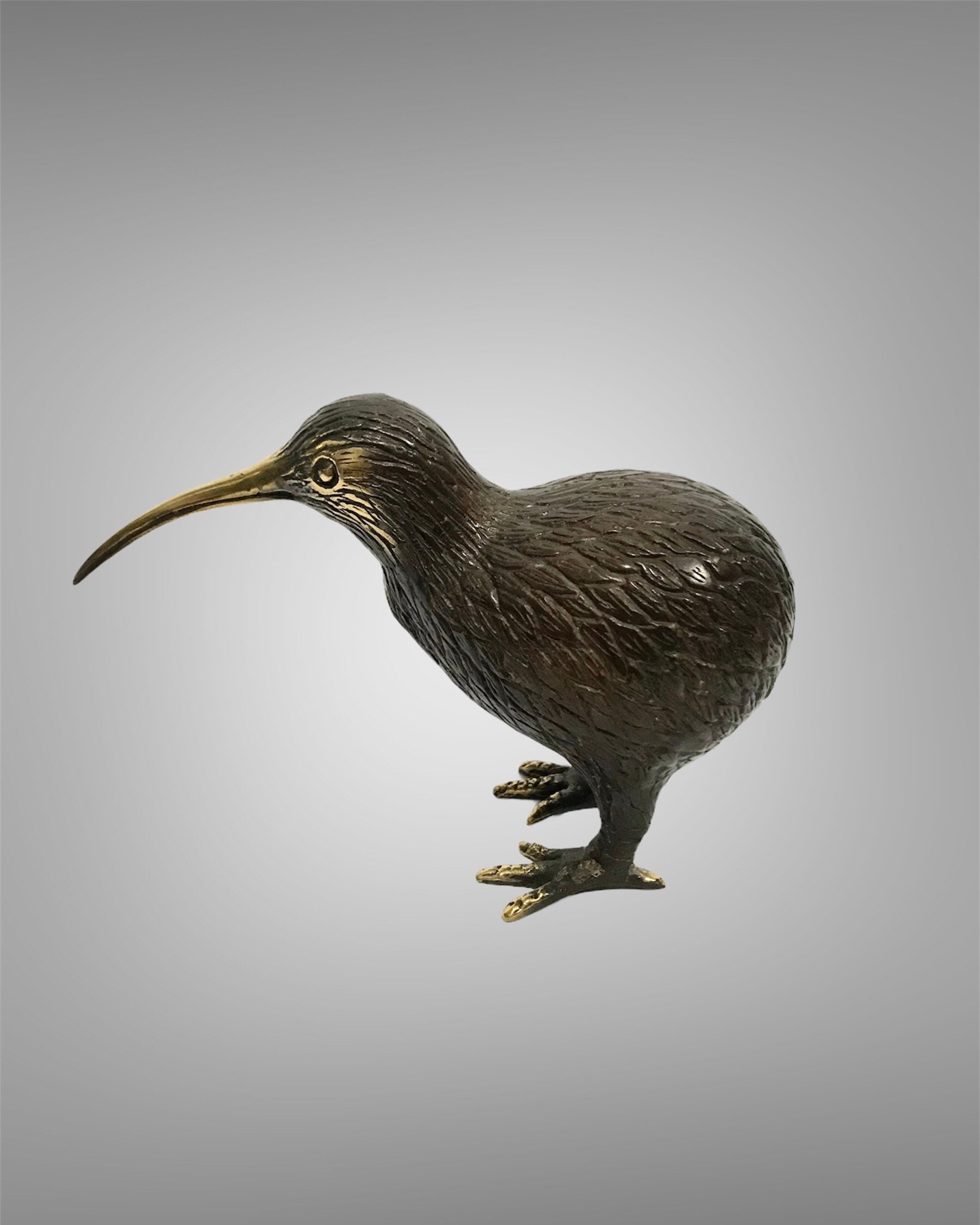 アンティーク ニュージーランド キウイ キーウィ 鳥 立体画 彫刻 アート 絵画 飛べない鳥の剥製キウイ（apterygides）のサンプル