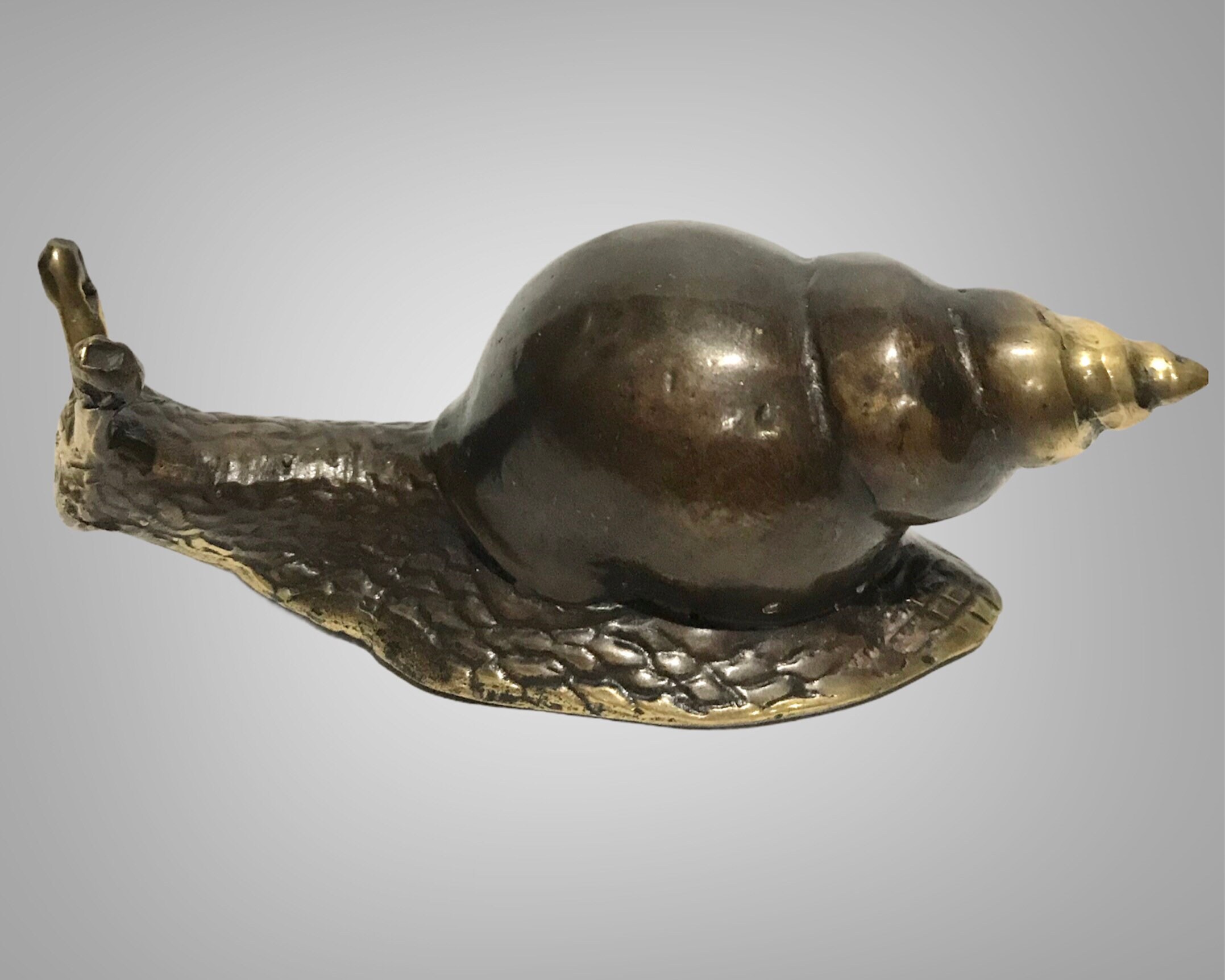 Conch Figur Conch Statue Bronze Conch Tierliebhaber Art Etsy.de