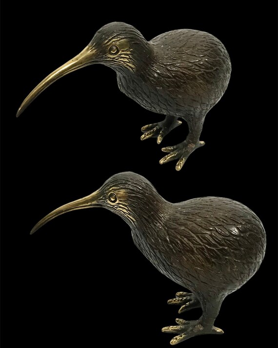 アンティーク ニュージーランド キウイ キーウィ 鳥 立体画 彫刻 アート 絵画 飛べない鳥の剥製キウイ（apterygides）のサンプル