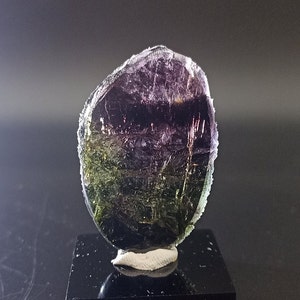 May include: A multi-colored tourmaline crystal specimen. The crystal has a dark green base that transitions to purple and then a clear, white edge. The crystal is mounted on a small, black square base.