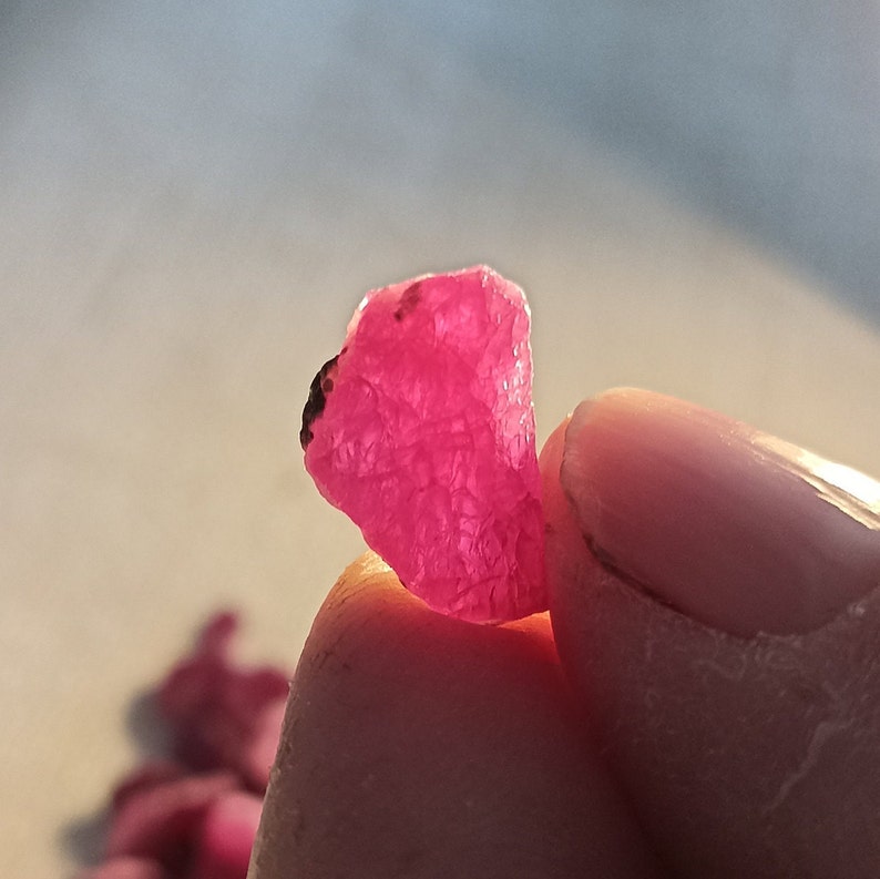 May include: A raw, uncut ruby gemstone, held between fingers. The ruby is a vibrant pinkish-red colour with a textured surface. The gemstone is illuminated by sunlight, highlighting its natural form and colour.