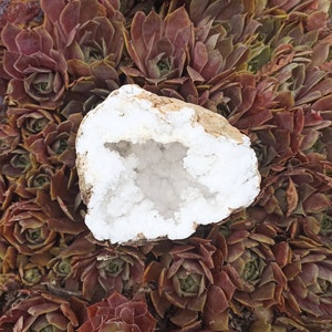 Quartz geode Western Sahara Morocco, half geode, 589 grams