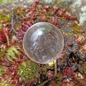 May include: A clear quartz crystal ball, also known as a crystal sphere, resting on a bed of green and red succulents. The crystal ball is smooth and reflects the surrounding environment.