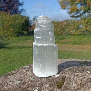 May include: A white selenite crystal tower with a layered, pointed top. The crystal is sitting on a rock with green moss.