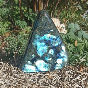 Peut inclure: Un cristal de labradorite triangulaire, iridescent bleu et vert. Le cristal a une surface lisse et polie et repose sur un lit de brindilles brunes.