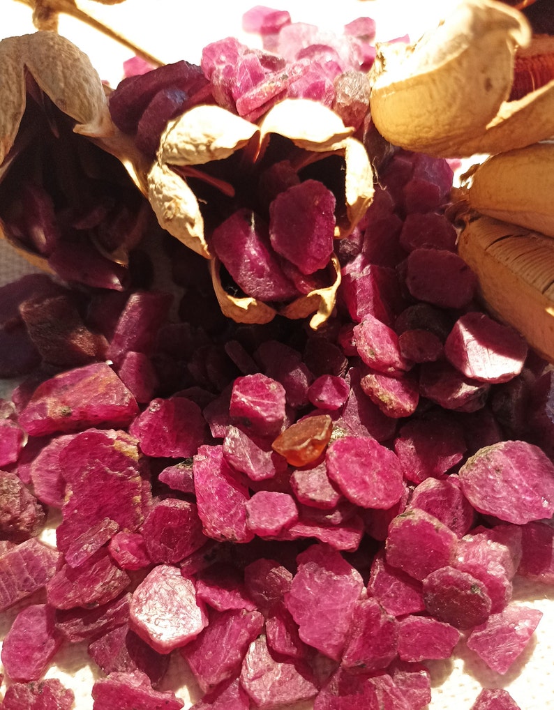 May include: A close-up of numerous raw ruby gemstones, showcasing a rich, deep red colour. The rough-cut stones are scattered around dried seed pods, offering a natural and organic contrast in texture and tone.
