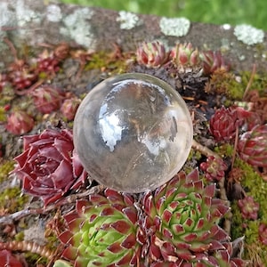 May include: A clear glass sphere sits on a bed of green and red succulents. The sphere reflects the surrounding environment, creating a distorted image of the plants.