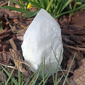 Rock crystal artichoke quartz, sprout quartz 401g, Madagascar, 98 x 57 mm