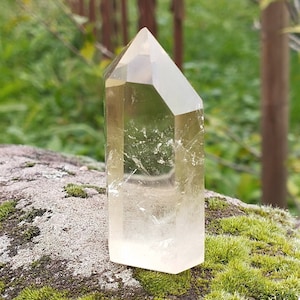 Peut inclure: Une pointe de cristal de quartz clair avec une teinte dorée claire. Le cristal est posé sur une roche mousseuse.