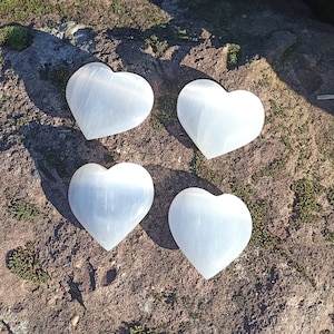 May include: Four white selenite heart-shaped crystals on a brown and green textured surface.