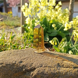 Peut inclure: Une pointe de cristal de citrine dorée avec une forme facetée claire. Le cristal est posé sur une roche brune avec un arrière-plan flou de fleurs jaunes.
