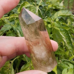 May include: A clear, light brown crystal point with a pointed tip and a faceted shape. The crystal is held in a hand against a green leafy background.