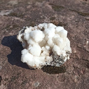May include: A cluster of white crystals on a rough, brown surface. The crystals are clustered together in a natural formation, with some appearing to be more translucent than others.