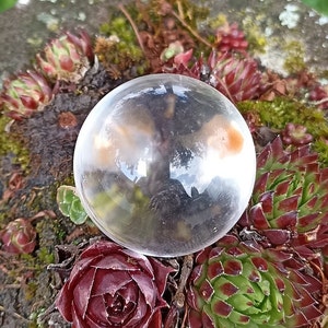 May include: A clear glass sphere with a slight orange tint, resting on a bed of green and red succulents.