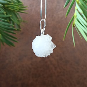 May include: A white, irregularly shaped pendant hangs from a silver chain. The pendant has a textured, crystalline appearance. The background is a blurred brown with green pine needles in the upper left and right corners, creating a natural aesthetic.