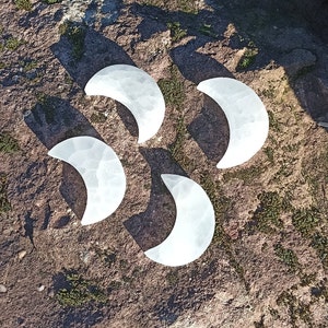 May include: Four white crescent moon-shaped selenite crystals on a brown and green textured surface.