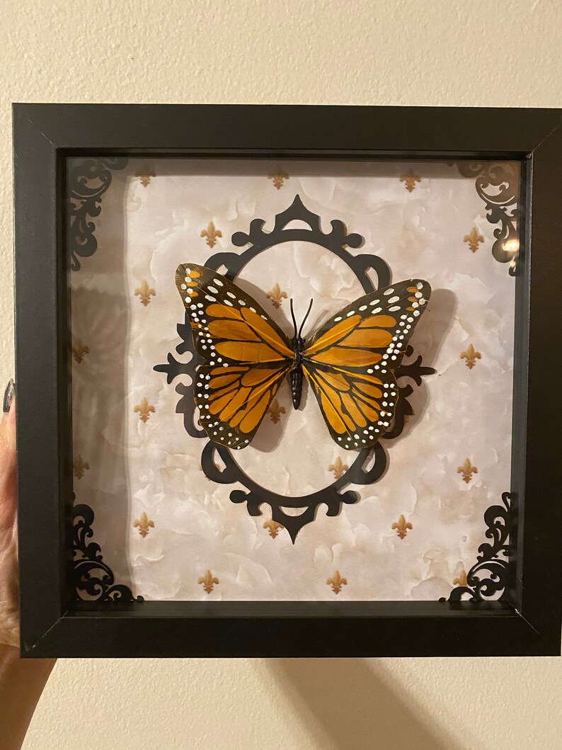 Butterfly Shadow Box 8x8 gothic Victorian taxidermy Etsy