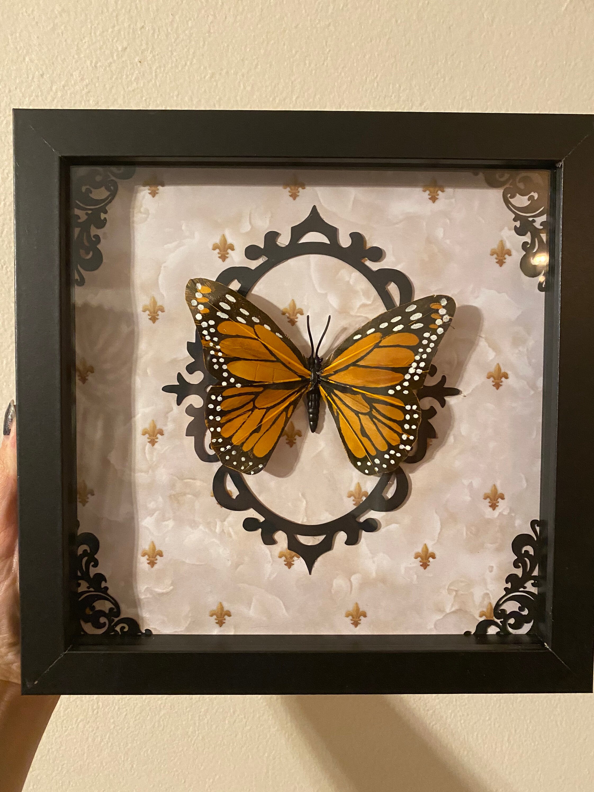 Butterfly Shadow Box 8x8 gothic Victorian taxidermy Etsy