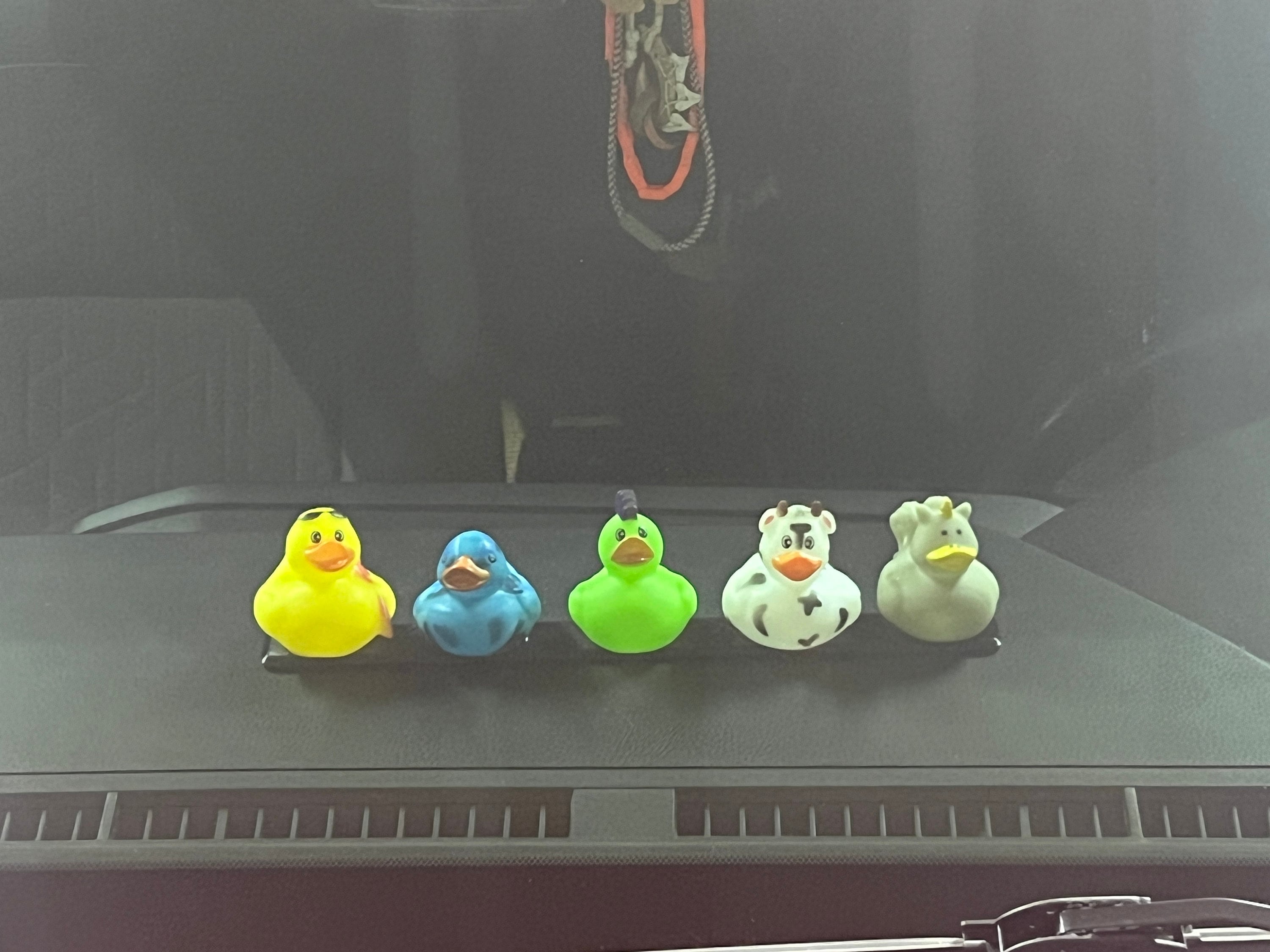 The puzzled duck holder etsy