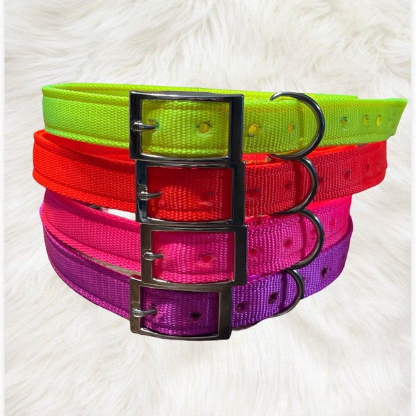 Heavy duty 1” Nylon dog collars