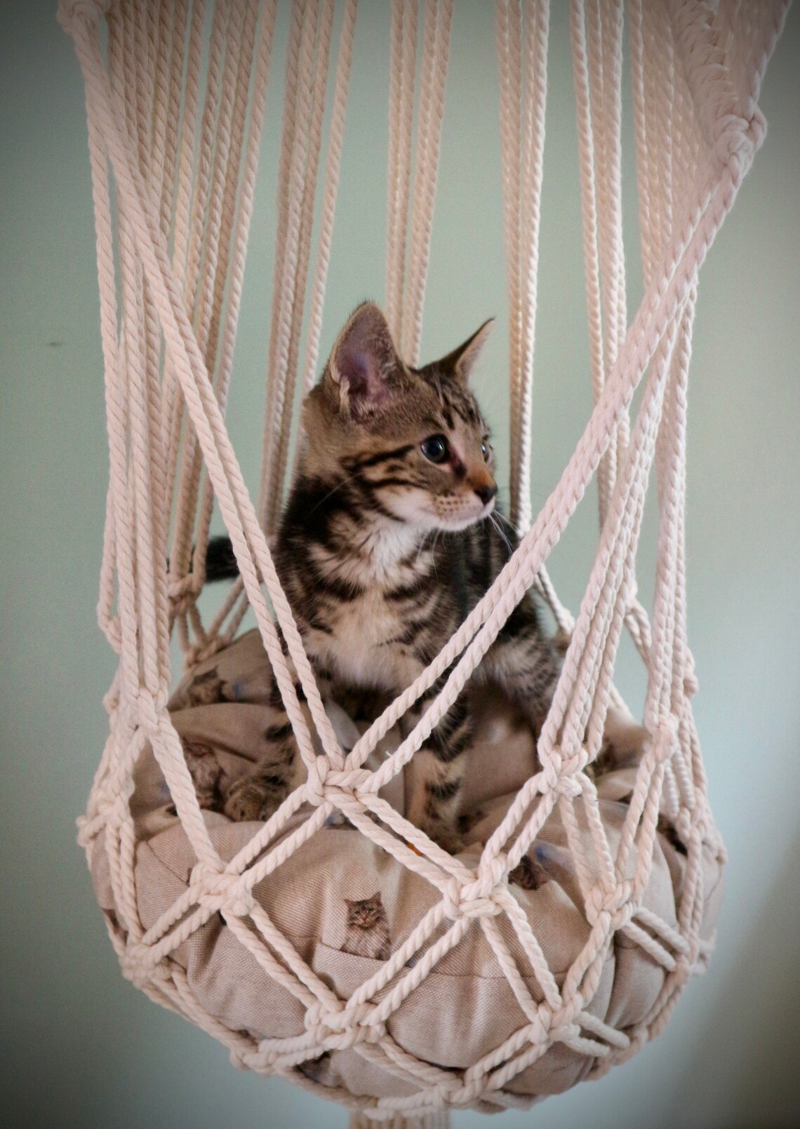 Macrame Hanging Cat Bed Cat Hammock Etsy