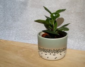 Patterned glazed stoneware pot cover