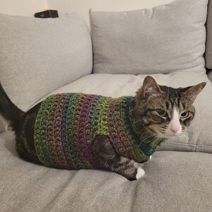 May include: A tabby cat wearing a colorful, hand-crocheted sweater. The sweater features a mix of green, purple, and blue yarn. The cat is lying on a gray couch, with its tail curled up. The cat has white paws and a white patch on its face.
