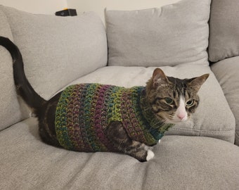 Könnte beinhalten: Eine getigerte Katze trägt einen farbenfrohen, handgehäkelten Pullover. Der Pullover hat eine Mischung aus grüner, violetter und blauer Wolle. Die Katze liegt auf einem grauen Sofa, der Schwanz ist eingerollt. Die Katze hat weiße Pfoten und einen weißen Fleck im Gesicht.