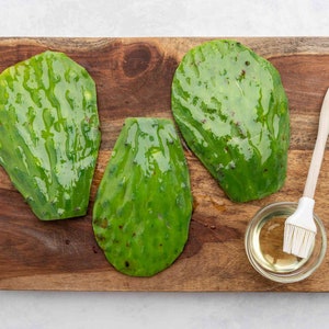 Edible Nopales Prickly Pear Cactus Fruit| Orange & Red, Rooted pads, Cutting or Young Fresh Leaves