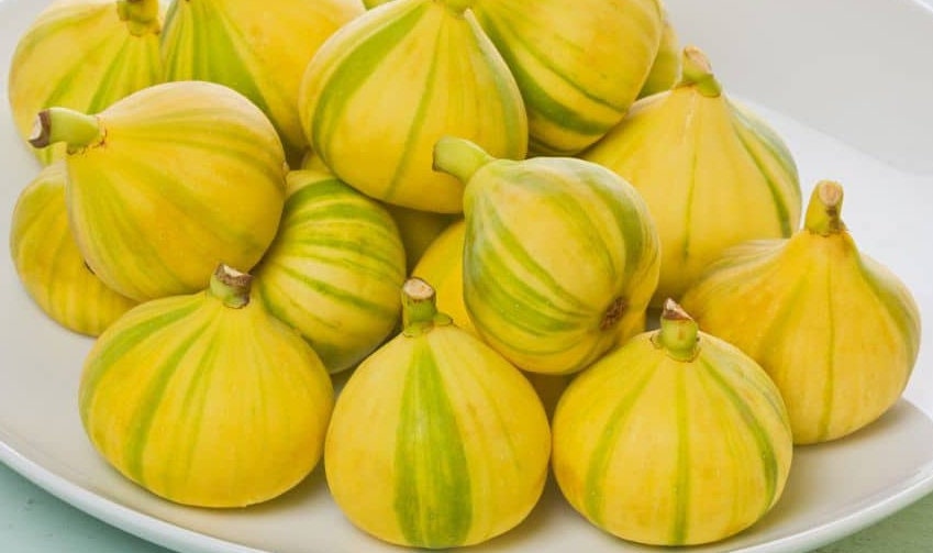 Organic Panachee Fig, Tiger Stripe Fig, Black Mission Fig and