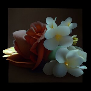 Metaphorical Blooms / digital art / surreal & abstract art