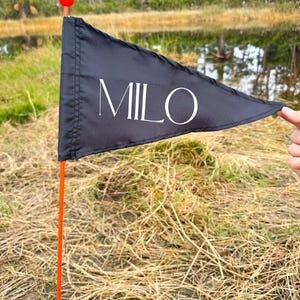 May include: A black triangular flag with the word "MILO" printed in white on it. The flag is attached to an orange pole.