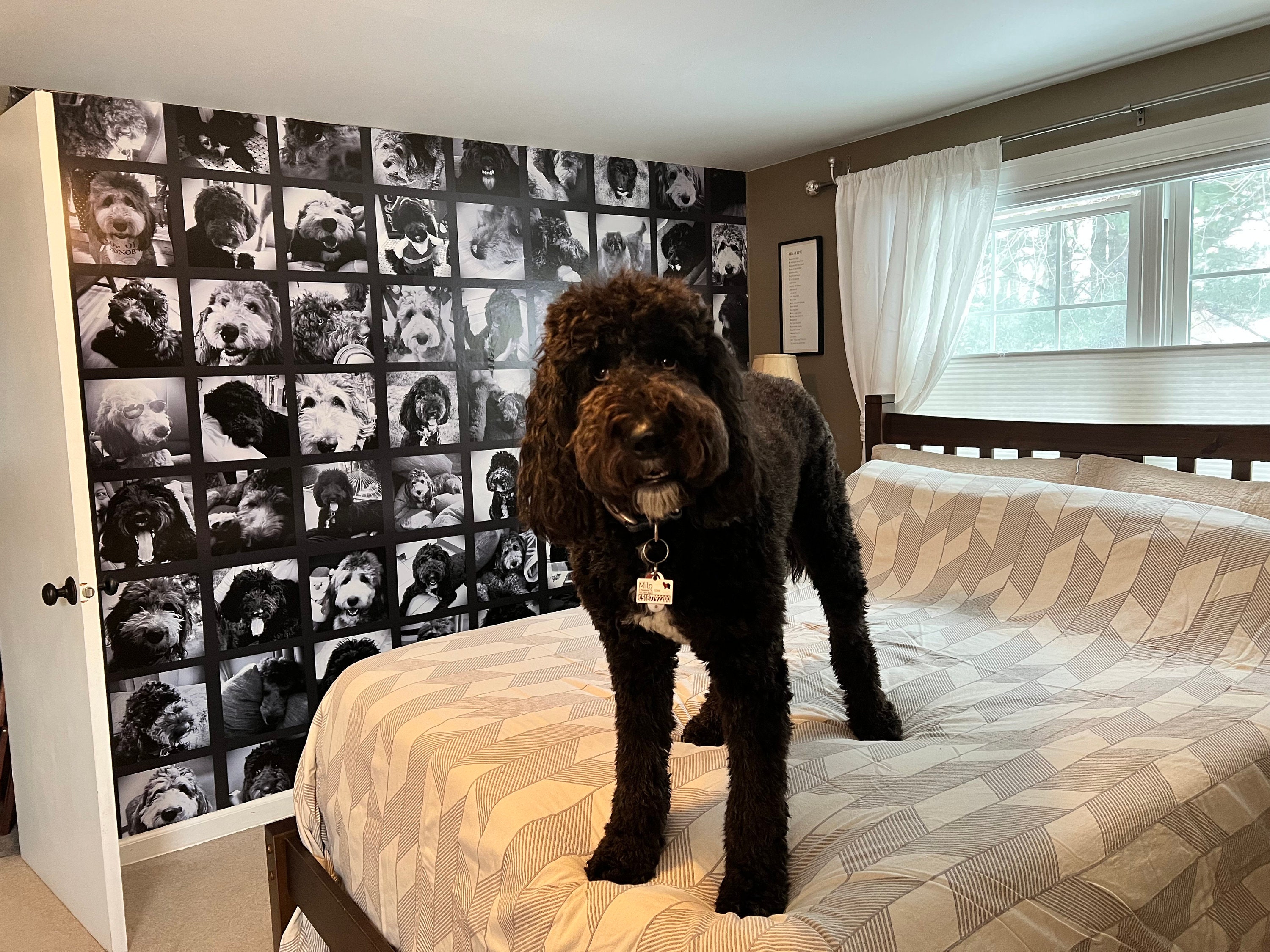 Your Photo on Wallpaper / Custom photo wallpaper / Custom photo wall mural / Custom photo peel and stick wallpaper Price: