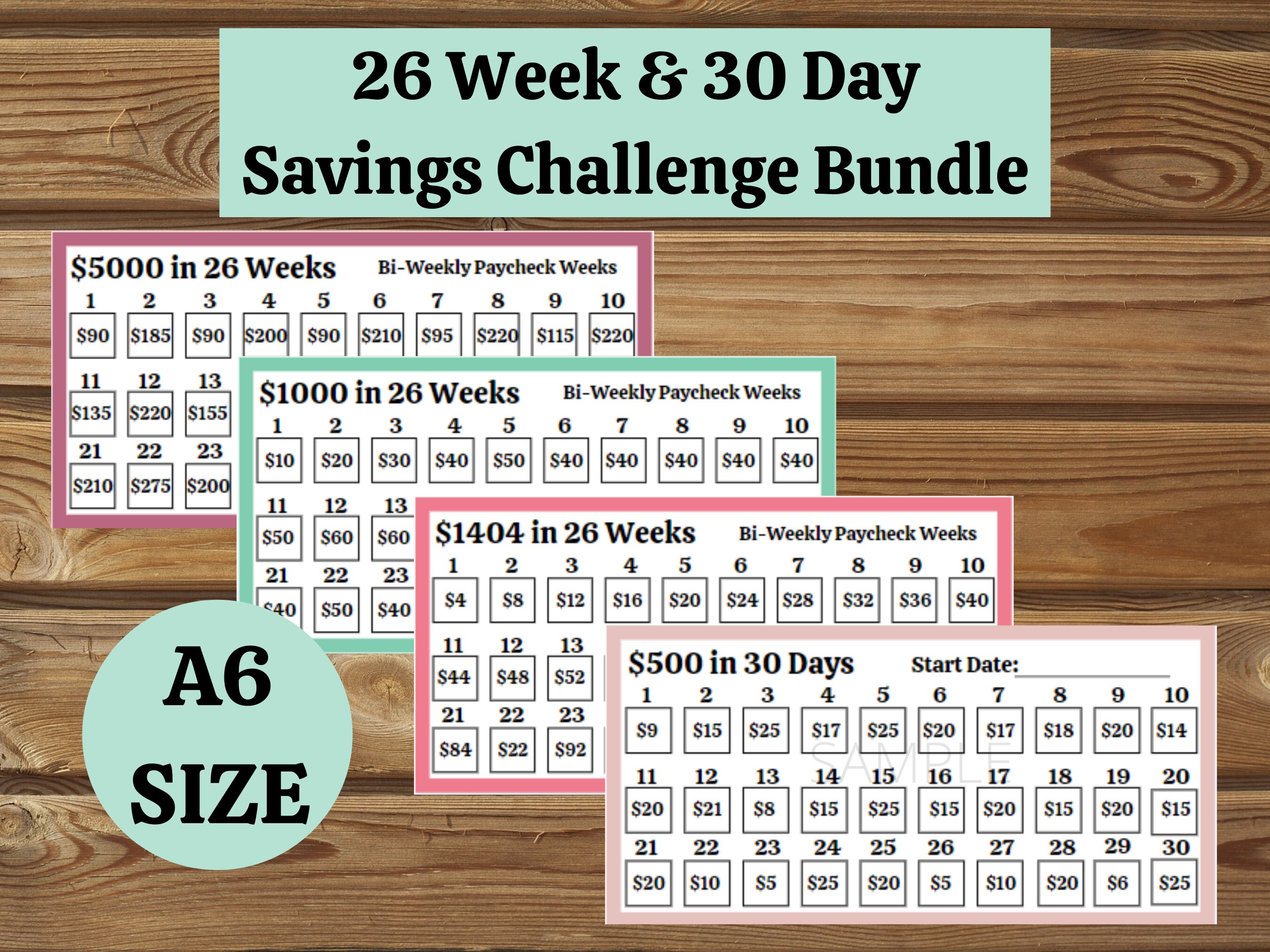 Paper 26 Mini Envelope Savings Challenge Paper & Party Supplies ...